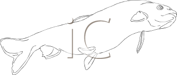 Fish and Sea Life Clipart