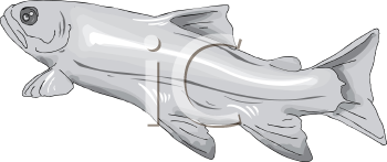 Fish and Sea Life Clipart
