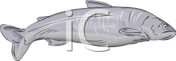 Fish and Sea Life Clipart