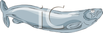 Fish and Sea Life Clipart