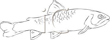 Fish and Sea Life Clipart