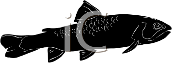 Fish and Sea Life Clipart