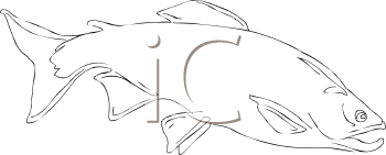 Fish and Sea Life Clipart