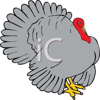 Farm Animal Clipart