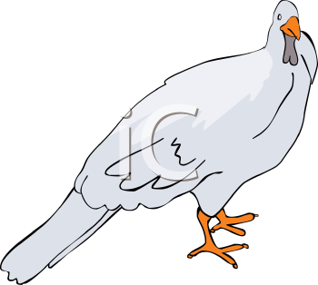 Farm Animal Clipart