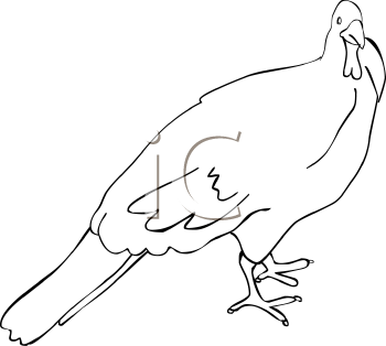 Farm Animal Clipart