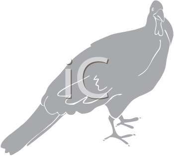 Bird Clipart