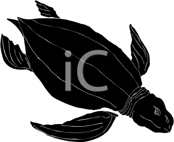 Reptile Clipart