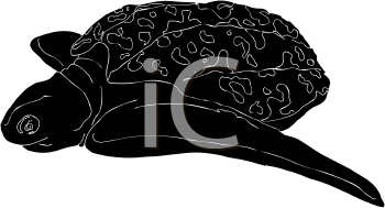 Reptile Clipart