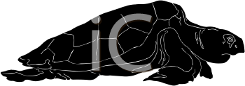 Reptile Clipart