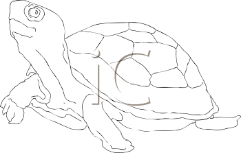 Reptile Clipart