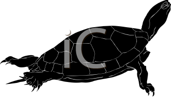 Reptile Clipart