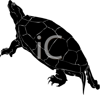 Reptile Clipart