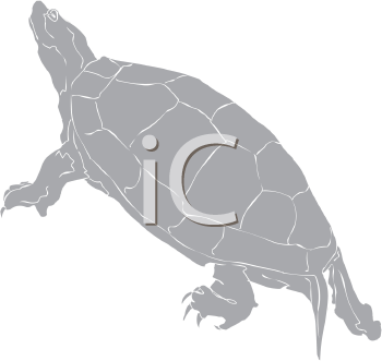 Reptile Clipart