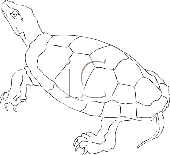 Reptile Clipart