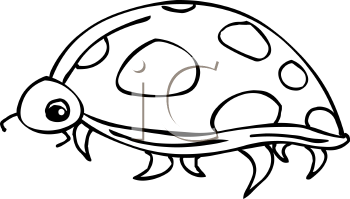 Reptile Clipart