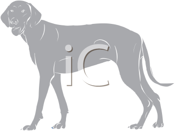 Pet Clipart