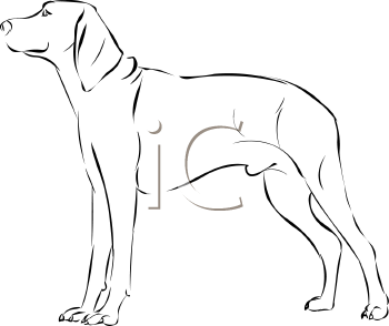 Pet Clipart