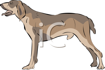 Dog Clipart