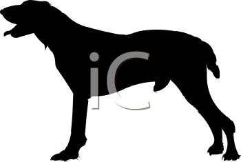 Pet Clipart