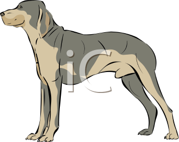 Pet Clipart