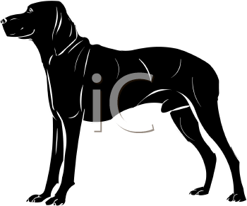 Pet Clipart