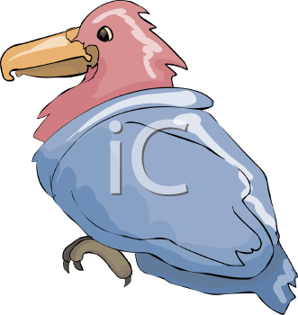 Bird Clipart
