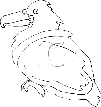 Bird Clipart
