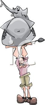 Mammal Clipart