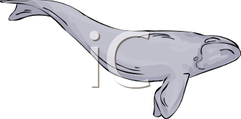 Fish and Sealife Clipart