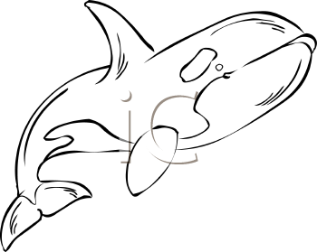 Fish and Sealife Clipart