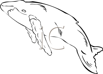 Fish and Sealife Clipart