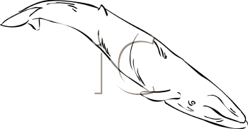Fish and Sealife Clipart