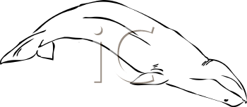 Fish and Sealife Clipart