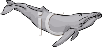 Fish and Sealife Clipart
