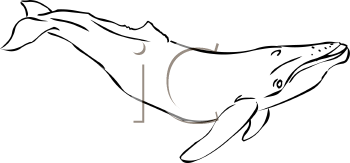 Fish and Sealife Clipart
