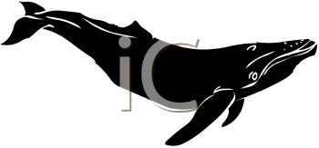 Aquatic Animals Clipart
