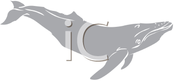Aquatic Animals Clipart