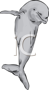 Aquatic Animals Clipart