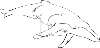 Aquatic Animals Clipart