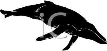 Aquatic Animals Clipart