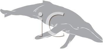 Fish and Sealife Clipart