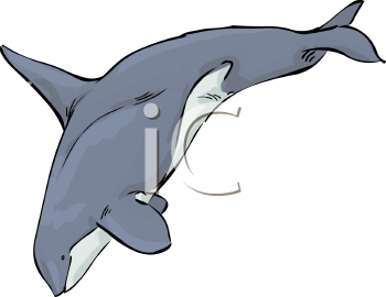 Fish and Sealife Clipart