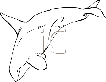 Fish and Sealife Clipart