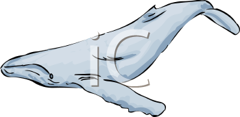 Aquatic Animals Clipart