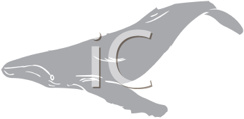 Aquatic Animals Clipart
