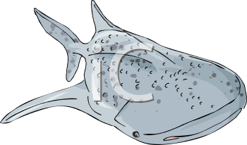 Fish and Sealife Clipart