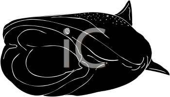 Fish and Sealife Clipart