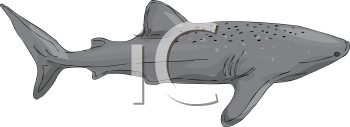 Aquatic Animals Clipart