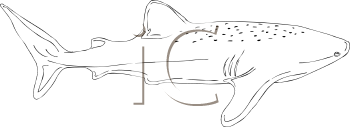 Fish and Sealife Clipart